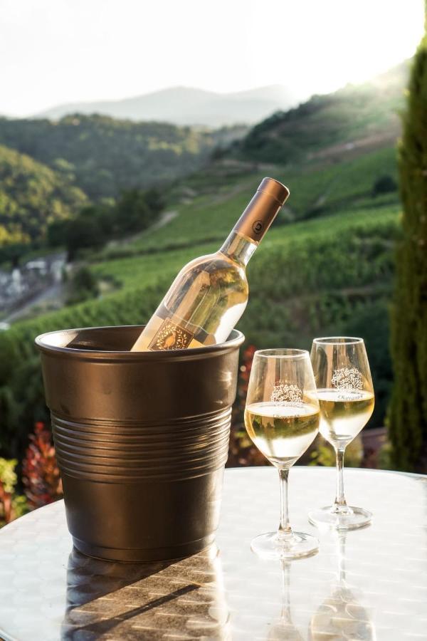 Wine Passion Panoramic Hotel Chavanay Buitenkant foto