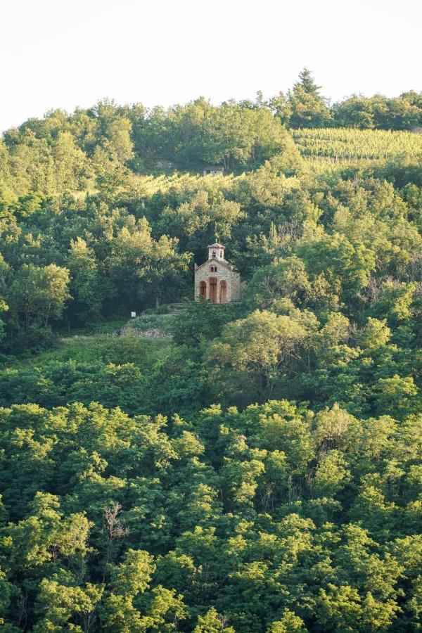 Wine Passion Panoramic Hotel Chavanay Buitenkant foto