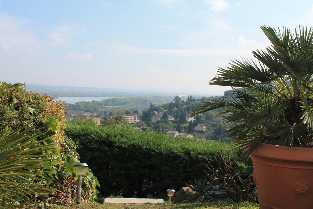 Wine Passion Panoramic Hotel Chavanay Buitenkant foto